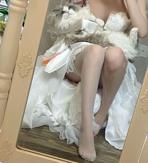 欧美交合视频_BD在线观看电视